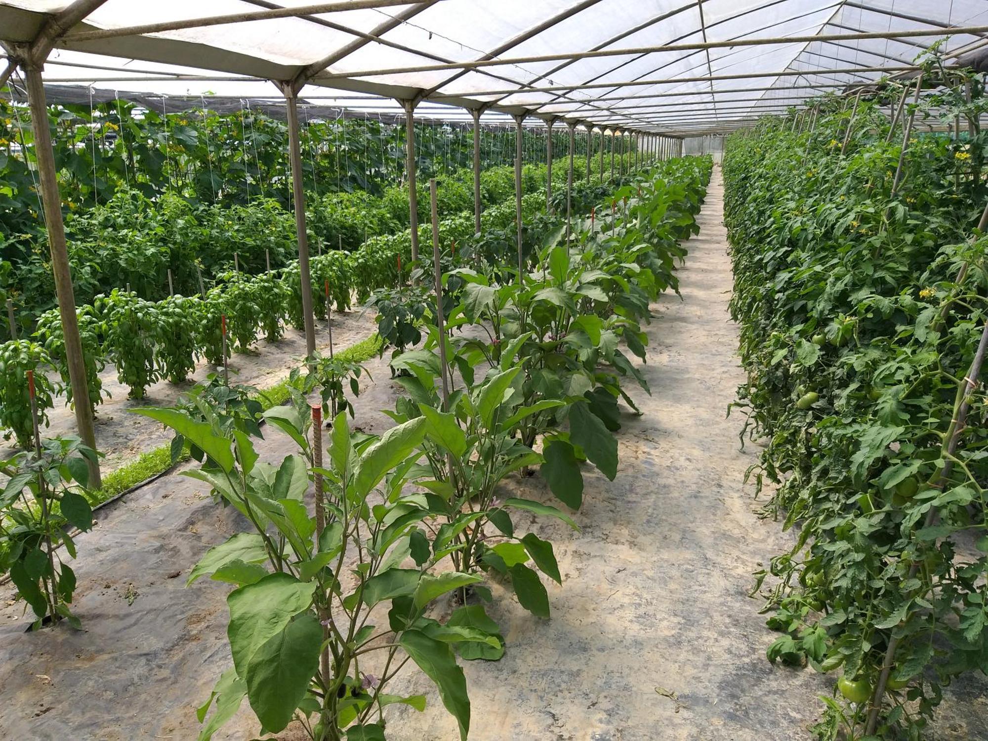 טסרה Agriturismo Il Melograno מראה חיצוני תמונה